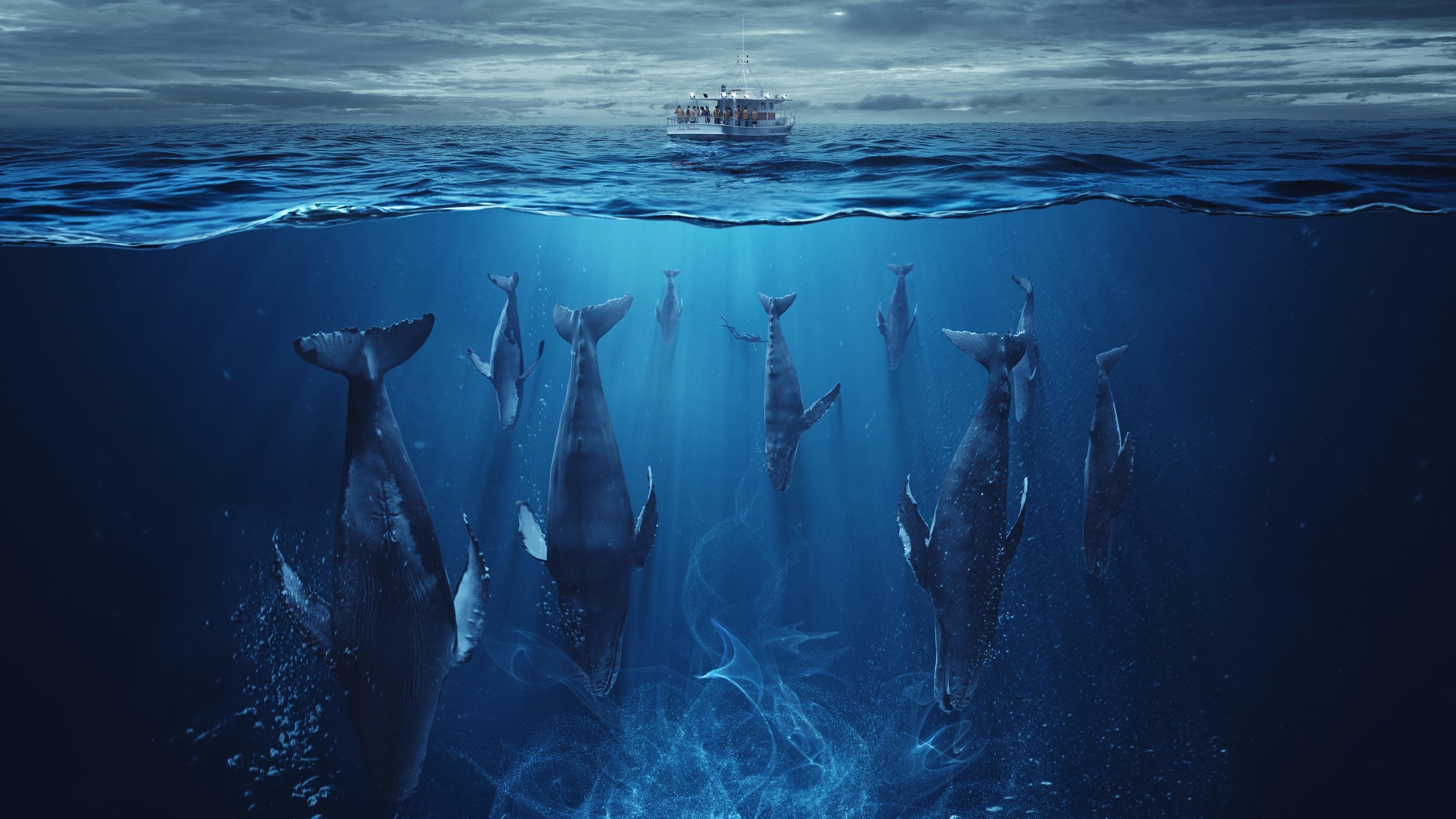 Odwet oceanu Serial online