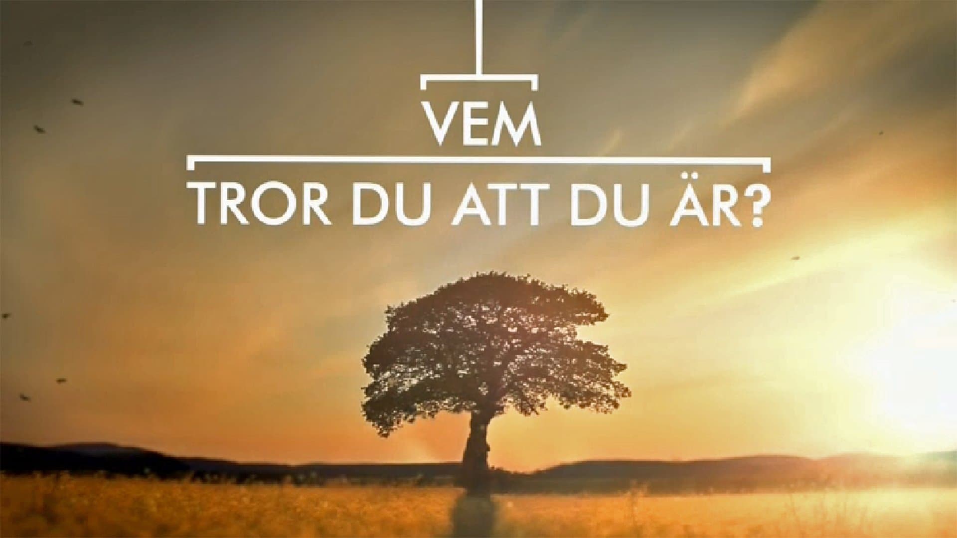 Vem tror du att du är? Serial online